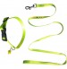 Super Dog Nylon Collar And Leash Set 0.5 Inch